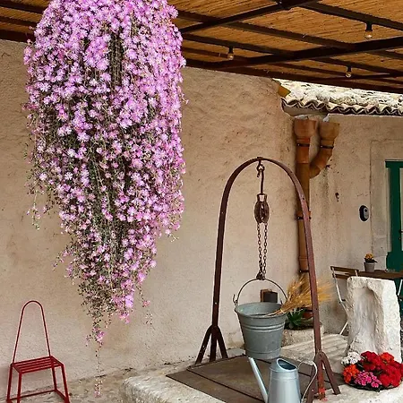 Bed & Breakfast Chiusa Del Curiale - Ospitalita In Vigna