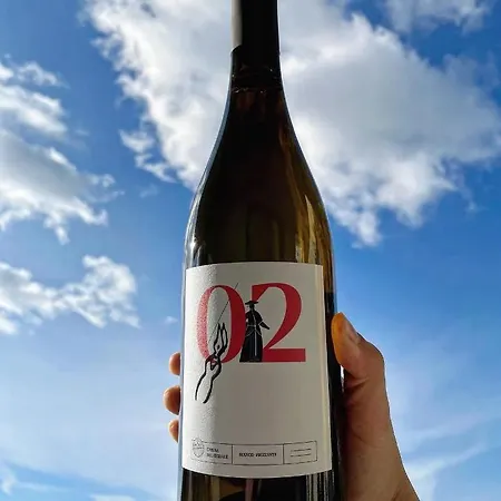 Chiusa Del Curiale - Ospitalita In Vigna * Comiso