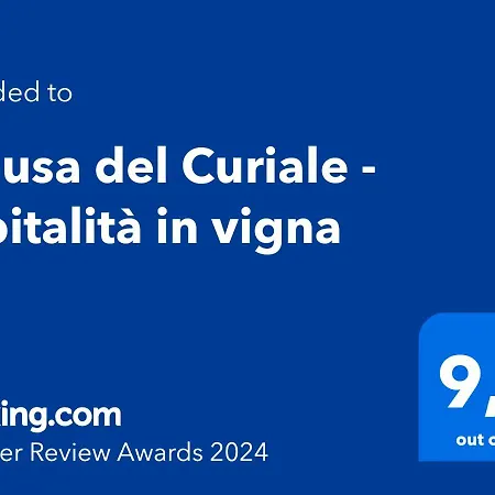 Bed & Breakfast Chiusa Del Curiale - Ospitalita In Vigna Comiso