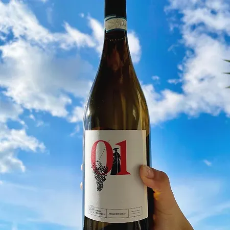 Bed & Breakfast Chiusa Del Curiale - Ospitalita In Vigna